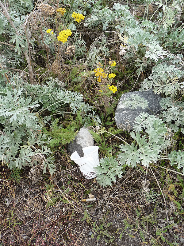 Trash Problem in Armenia