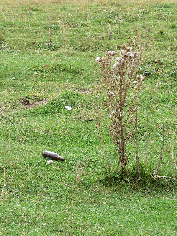 Trash Problem in Armenia