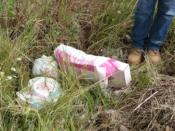 Trash Problem in Armenia