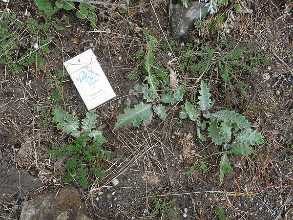 Trash Problem in Armenia