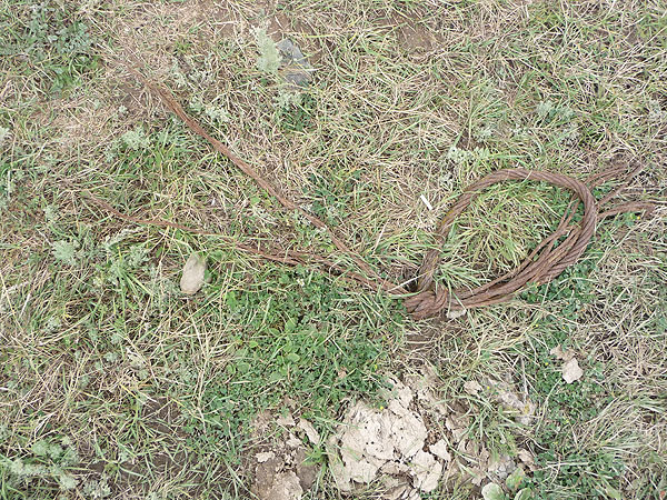 Trash Problem in Armenia