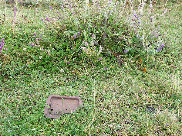 Trash Problem in Armenia