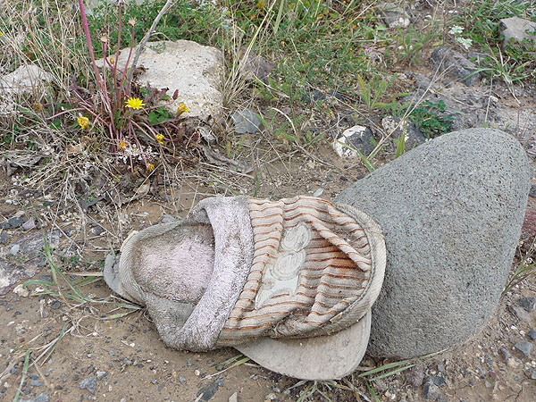 Trash Problem in Armenia