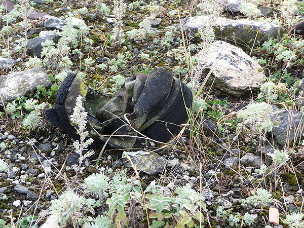 Trash Problem in Armenia