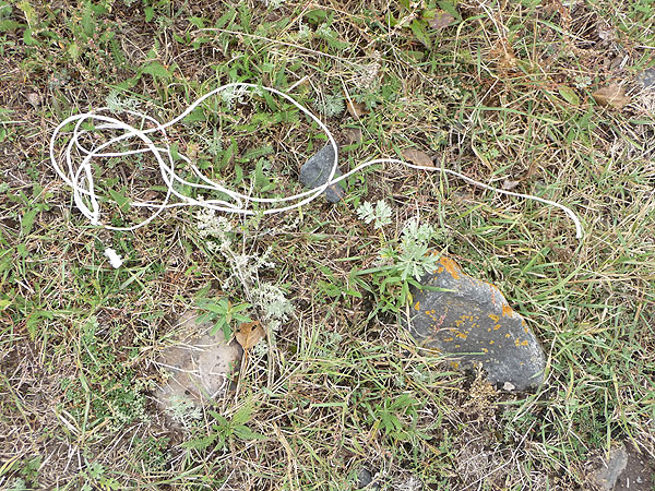 Trash Problem in Armenia