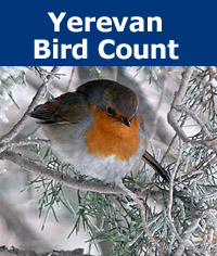 Donation - Yerevan Bird Count