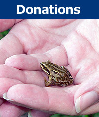 General Donation - Acopian Center