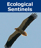 Donation - Ecological Sentinels